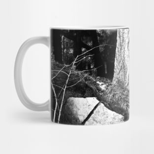 Year of the tiger 2022/6 /  Swiss Artwork Photography Mug